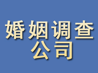 桂阳婚姻调查公司